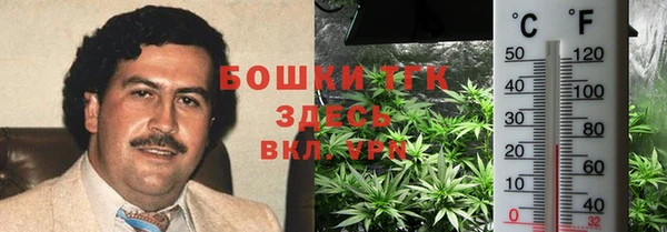 ГАЛЛЮЦИНОГЕННЫЕ ГРИБЫ Михайловск